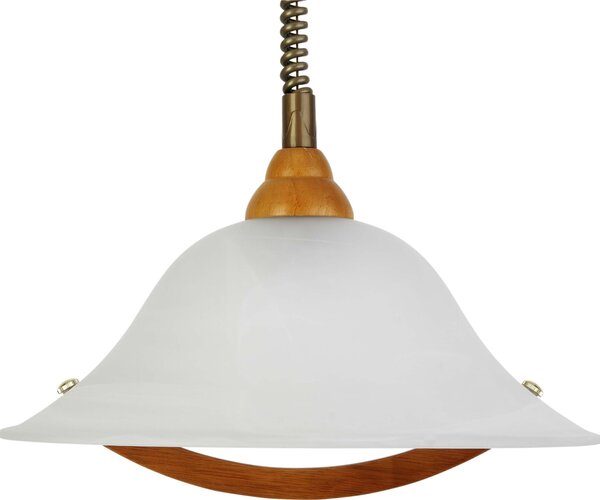 Lampada a sospensione Brillante Torbole PE 1 RZ con cavo a rullo; 73678/72