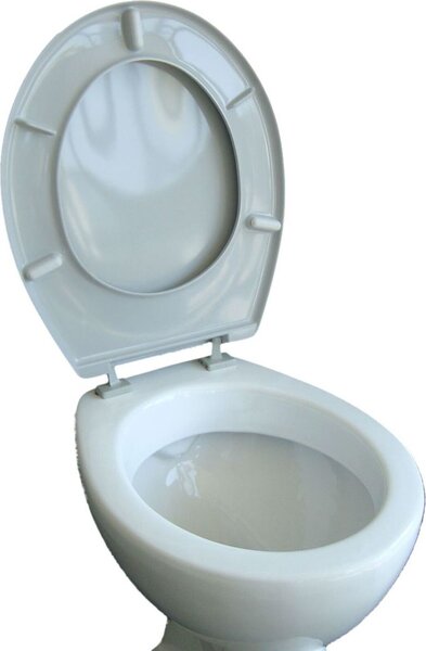 VCM Sedile WC Coperchio del sedile WC Coperchio del sedile WC Sedile WC Iseo Cerniere regolabili Grigio