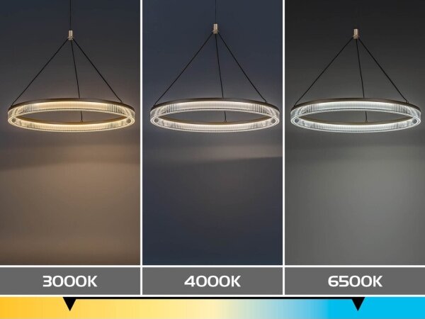 Rabalux 72471 - Lampadario LED dimmerabile a sospensione con cavo RIVONA LED/24W/230V 3000-6500K + telecomando