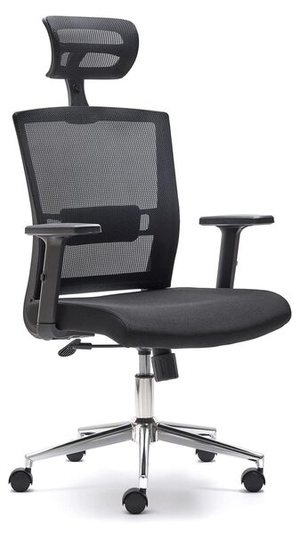 Sedia da ufficio ergonomica con supporto lombare regolabile e braccioli regolabili