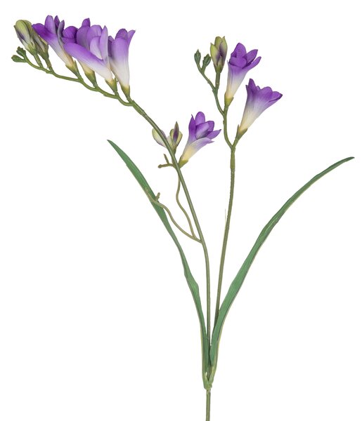 Set 8 Rami Artificiali Fresia Composta da 2 Fiori H 58 cm