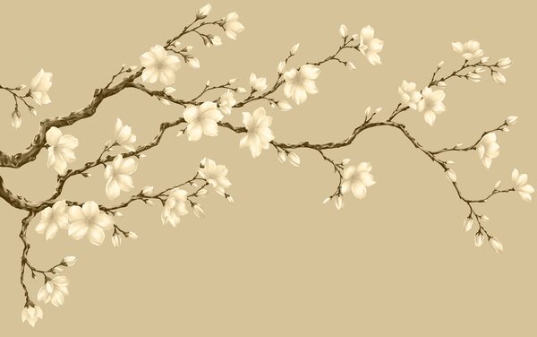 Carta da parati Ramo con fiori bianchi, Carta da parati Alberi, Carta da parati popolare, t01044v3 - Tapeko.it