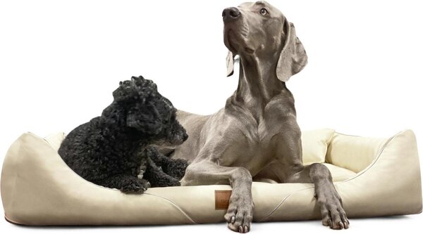 Tierlando® Lettino ortopedico per cani WILLIAM Easy-Clean | Divano per cani - dimensioni: 90x75cm | colore: 05 crema