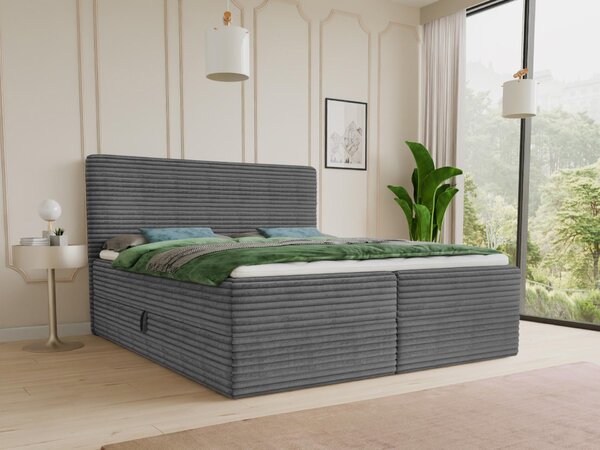 Letto boxspring Mollo con 2 cassetti, letto matrimoniale con materasso Bonell e topper, letto imbottito in morbido velluto a coste, letto, letto box, struttura letto per camera da letto (grafite (Tilia 90), 180 x 200 cm)