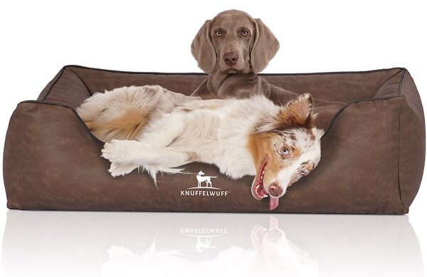 Cuccia per cani Scottsdale in ecopelle XXXL marrone