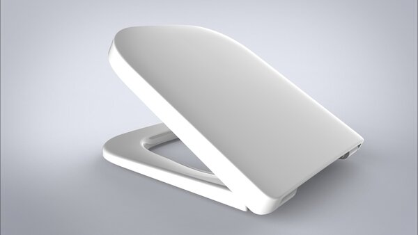 VIGOUR Sedile WC Derby con cerniera in acciaio inox rimovibile, senza chiusura ammortizzata, bianco