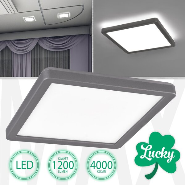 Plafoniera LED LUCKY 12W, bianco neutro, angolare
