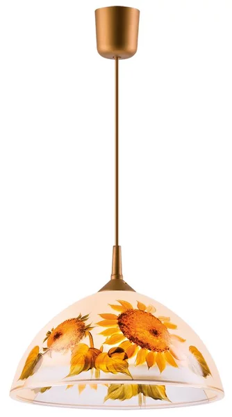 Lampadario a sospensione con filo 1xE27/60W/230V