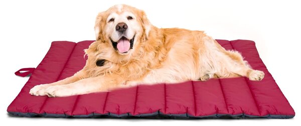 Tappetino impermeabile per cani, cuccia per animali domestici lavabile, igienica e pieghevole, colore rosso/grigio
