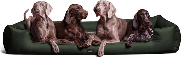 Tierlando® Letto ortopedico per cani GOOFY >> incl. proteggi-materasso