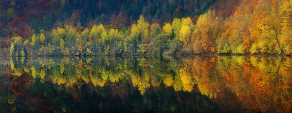 Fotografia artistica Autumnal silence, Burger Jochen, (60 x 23.2 cm)