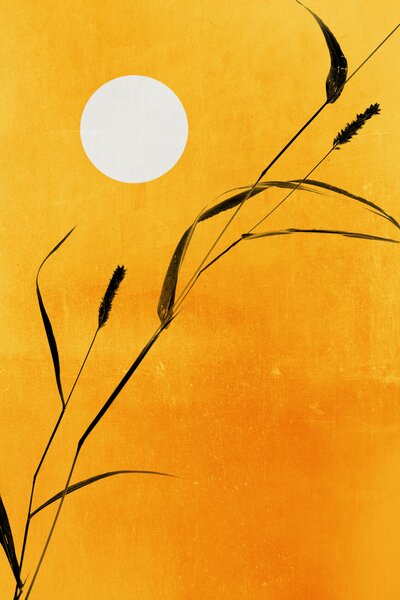 Illustrazione Sunny Days, Kubistika, (26.7 x 40 cm)