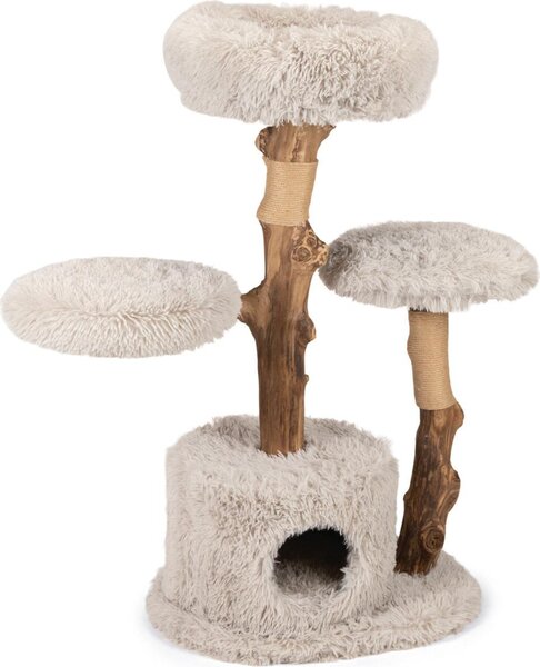 Designed by Lotte Tiragraffi per gatti Ziza 60x45x100 cm legno