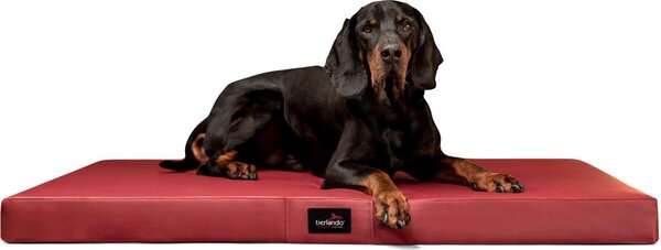 Materasso ortopedico per cani ALICE EASY CLEAN in Pelle finta - misura: 100x80cm | colore: 04 rosso scuro