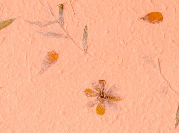 Fotografia artistica Mulberry paper background, kuarmungadd, (40 x 30 cm)