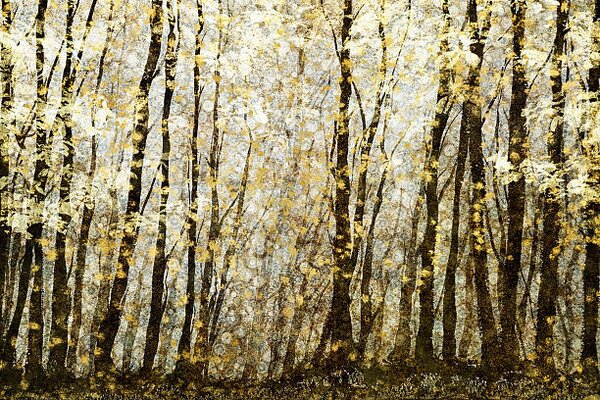 Illustrazione Forest filed with golden autumn leaves, Andrew Bret Wallis
