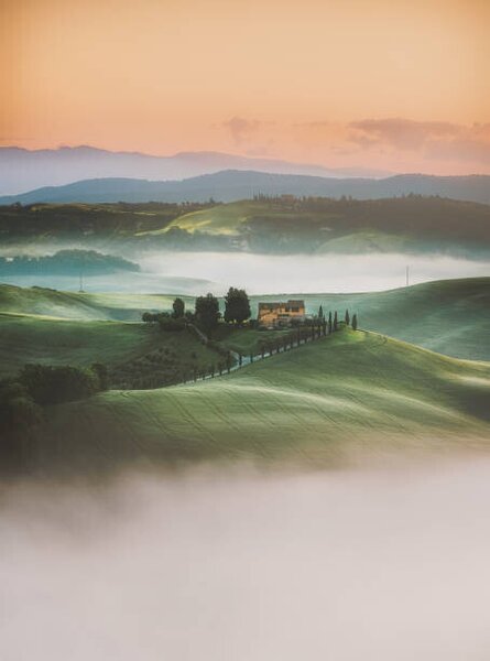 Fotografia Tuscany sunrise landscape view of green, serts, (30 x 40 cm)