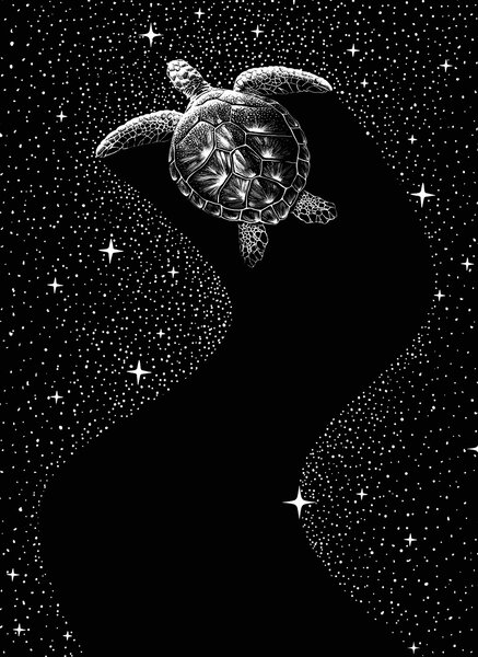 Illustrazione Starry Turtle, Aliriza Cakir, (30 x 40 cm)