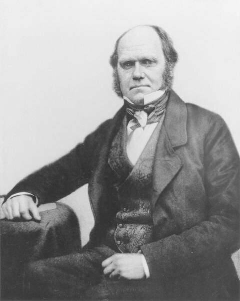 Fotografia Portrait of Charles Darwin 1854, English Photographer,, (30 x 40 cm)