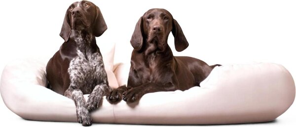 Tierlando® Lettino ortopedico per cani SAMMY | Similcuoio di facile manutenzione | L-XXXXL - Dimensioni: 140x105cm | Colore: 05 crema