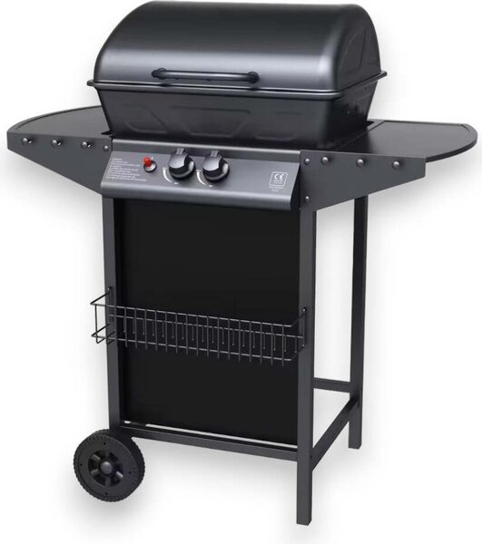 Barbecue a gas 2 fuochi con pietra lavica per esterno