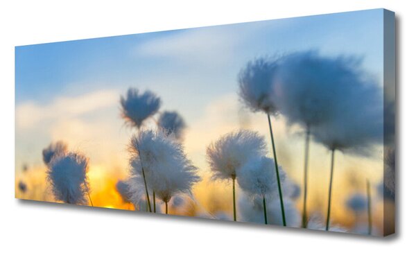 Quadro su tela Fiori, piante, natura 100x50 cm