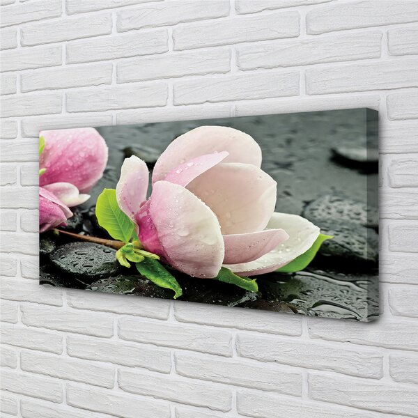Quadro su tela Pietre magnolia 100x50 cm