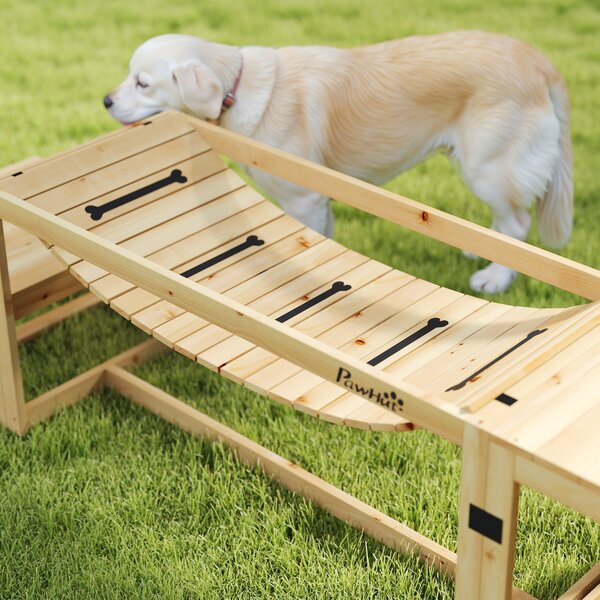 PawHut Set Agility per Cani, Costruzione per l'Allenamento dei Cani con Ponte, Scala, Piattaforma, in Legno di Pino, per Cani di Taglia Grande fino a 40 kg