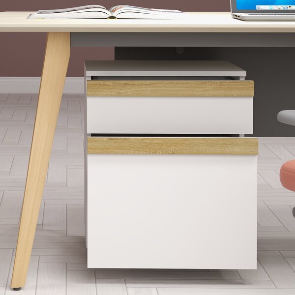 Vinsetto Mobile Caisson da ufficio a rotelle con 2 cassetti scorrevoli organizzatore per documenti 48 x 40 x 59,5 cm bianco