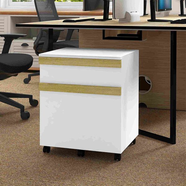 Vinsetto Mobile Caisson da ufficio a rotelle con 2 cassetti scorrevoli organizzatore per documenti 48 x 40 x 59,5 cm bianco
