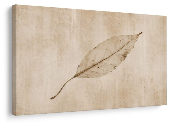 Quadro su tela – Foglia delicata nei toni beige