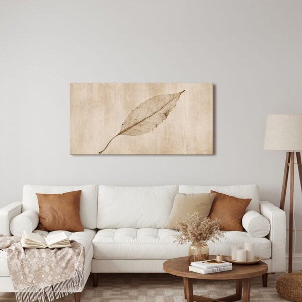 Quadro su tela – Foglia essiccata su sfondo chiaro