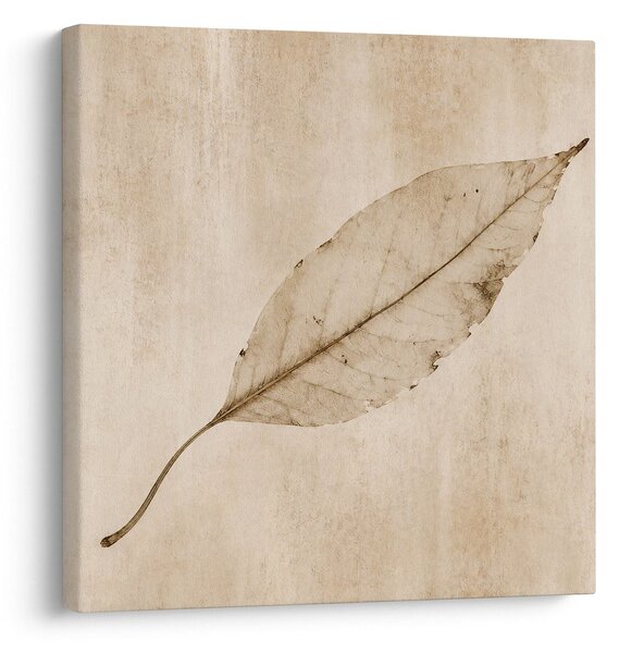 Quadro su tela – Foglia minimalista in stile seppia