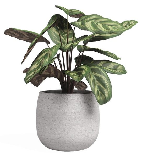 Vaso in ceramica fatto a mano ø 20 cm Hemera - Artevasi