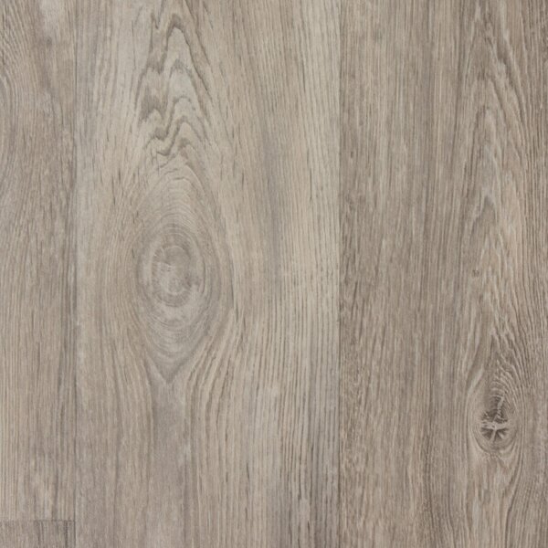 Primaflor PVC TURIN - Grigio rovere 619M - 2,00m x 0,50m - al metro - Pavimento vinilico effetto legno per cucina, soggiorno e bagno, pavimento di alta qualità, superficie antiscivolo