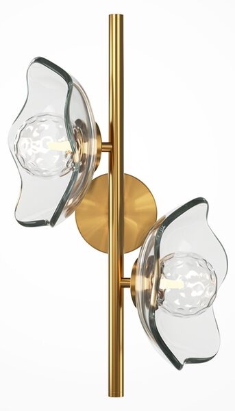 Applique Moderna Miracle Metallo Ottone 2 G9 Ip20