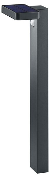 Lampada da terra LED ESQUEL, antracite, acciaio inossidabile, sensore di movimento, altezza 60 cm