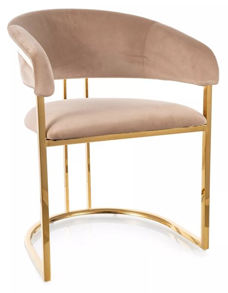 Sedia Tulipe Velvet beige – 56×46×77 cm