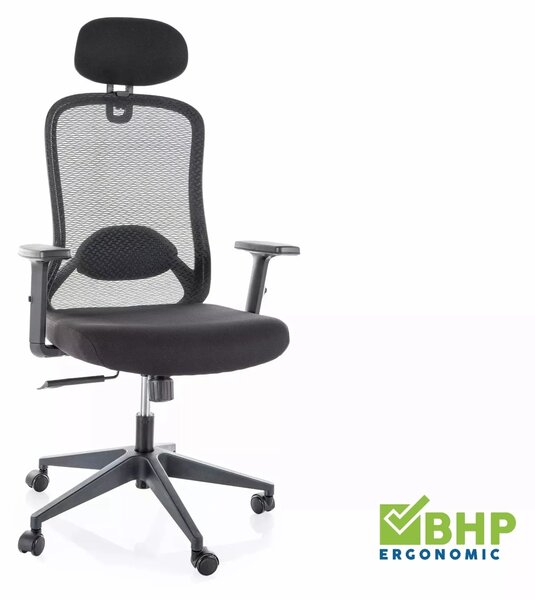 Sedia da ufficio ergonomica Q-050