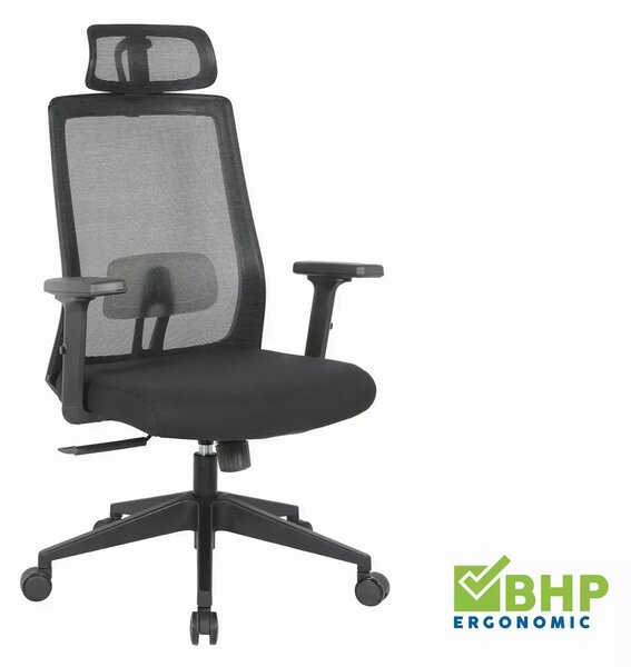 Sedia da ufficio ergonomica Q-058