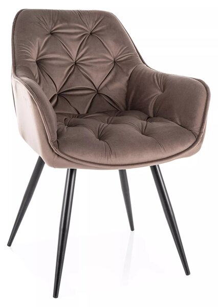 Sedia Cherry Velvet in velluto color cappuccino Bluvel 38 con struttura in metallo nero opaco – 57x87 cm