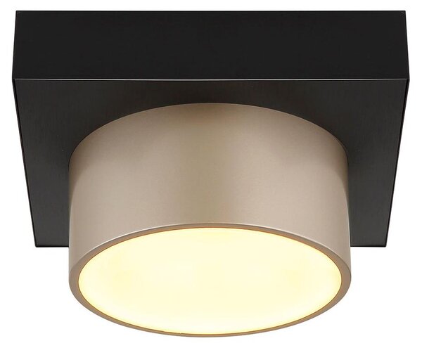 Plafoniera LED, nero opaco, color champagne, L 20 cm