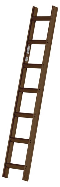 Scala da tetto Hymer verniciata in marrone seppia RAL 8014 7 pioli