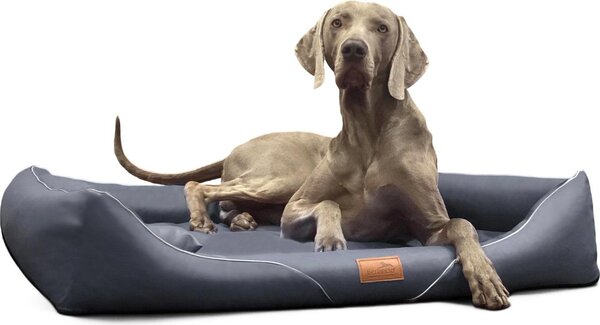 Tierlando® Letto ortopedico per cani WILLIAM Easy-Clean | Divano per cani - Dimensioni: 130x100cm | Colore: 02 Graphite
