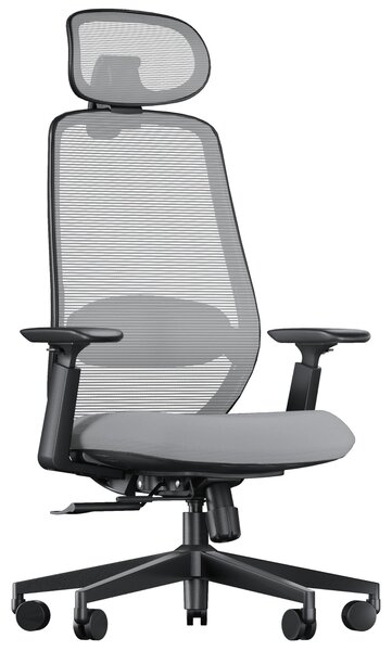 Omgoods: Sedia da ufficio ergonomica con supporto lombare e funzioni regolabili