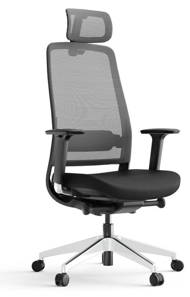 Sedia da ufficio ergonomica Yaasa Chair Expert, con poggiatesta, colore nero – Capacità di carico: 130 kg – Braccioli regolabili in 4 direzioni – Supporto lombare imbottito regolabile