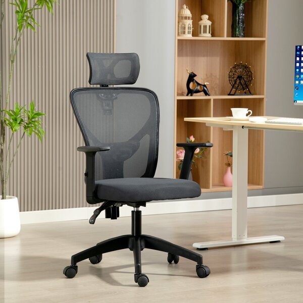 Vinsetto Sedia da Ufficio Ergonomica e Regolabile con Supporto Lombare e Poggiatesta, 66x61x106-116 cm, Grigio | Aosom Italy