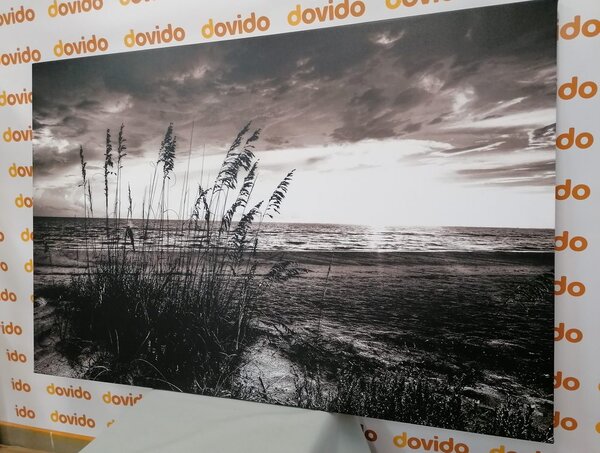 Stampa su tela – Tramonto sulla spiaggia in bianco e nero