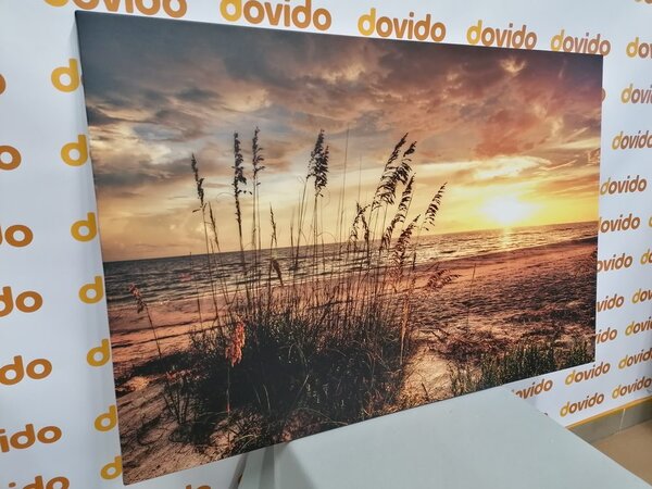 Quadro su tela – Tramonto sulla spiaggia