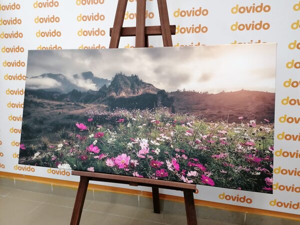 Quadro su tela – Prato di fiori in fiore